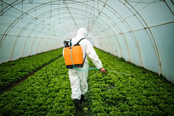 Best Pest Control for Businesses  in Harlan, KY
