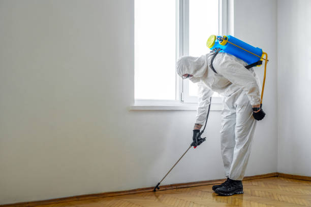 Best Affordable Pest Control Services  in Harlan, KY
