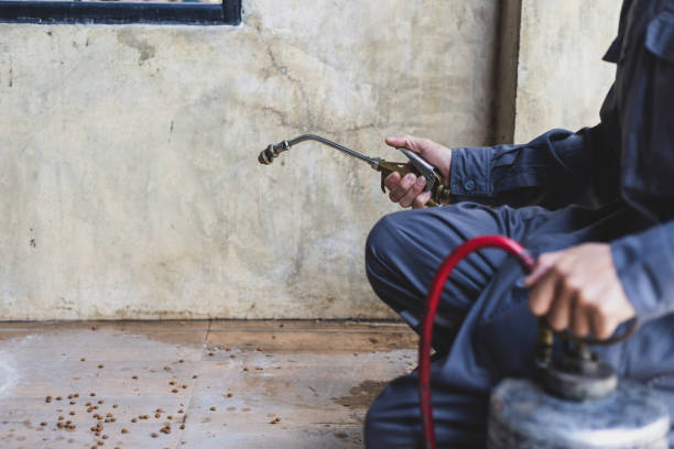 Best Commercial Pest Control Services  in Harlan, KY